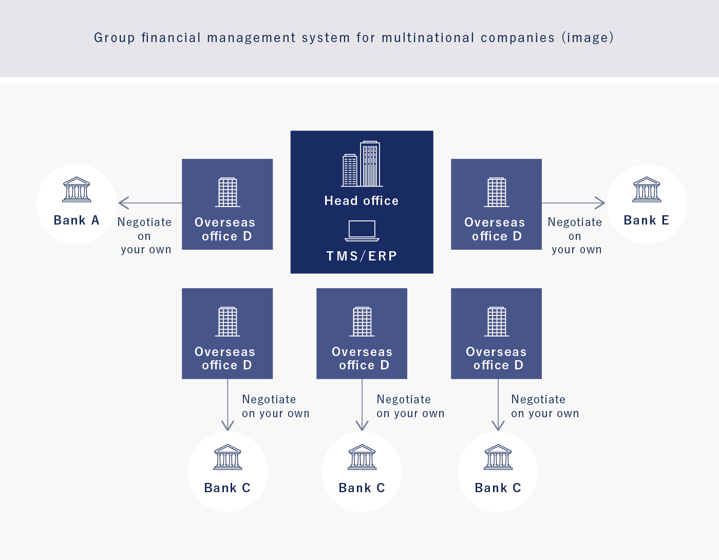 Group financial management system for multinational companies